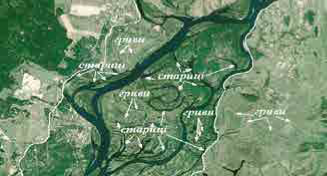 Широка пологогривисто-старична внутрішня заплава Дніпра перед Києвом