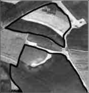 Зміни контурів полів на Опіллі. Фрагмент аерофотознімків 1967 р.