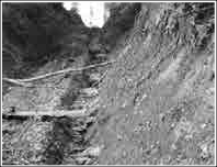 Формування лінійних розмивів вздовж доріг у Вулканічних Карпатах