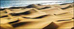 Поперечні дюни