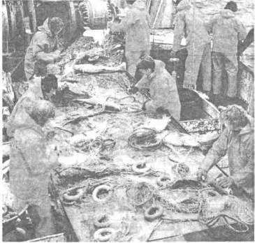Рибальство — традиційна галузь господарства країн Північної Європи