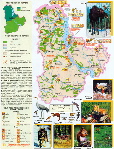 Карта тваринного світу Київської області