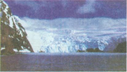 Шельфовий льодовик